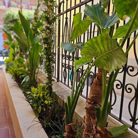 Suebi Rooms Термоли Екстериор снимка
