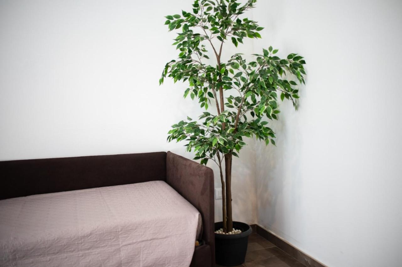 Suebi Rooms Термоли Екстериор снимка